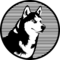 Husky Avax